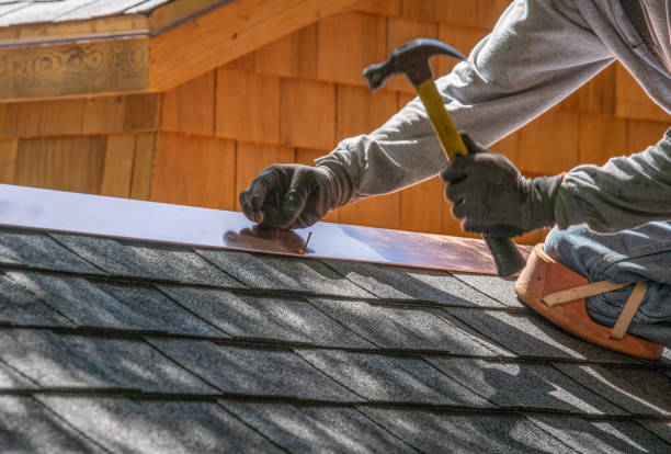 Best Roof Moss and Algae Removal  in Jessup, PA